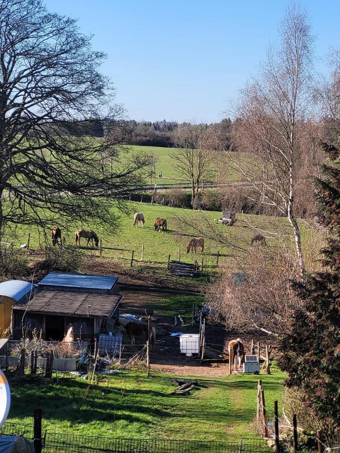 Ferienwohnung Classen Eifel Schleiden Extérieur photo